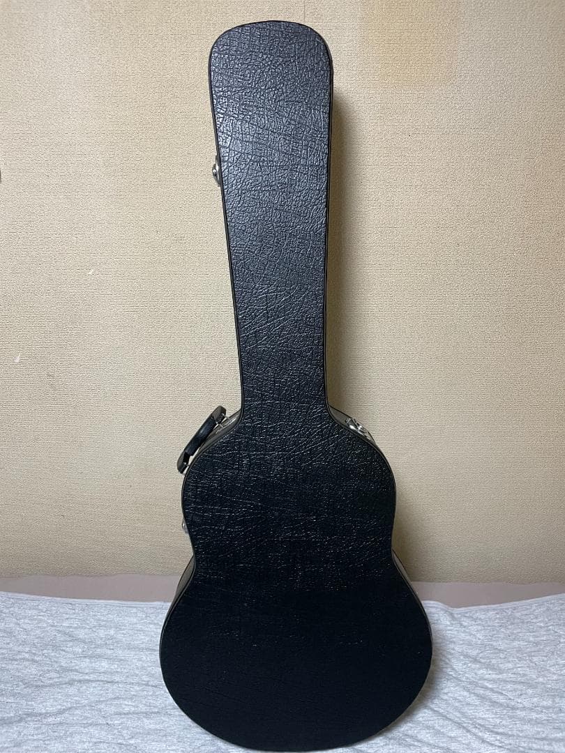 Eastman AR-803 フルアコ オール単板 16インチ