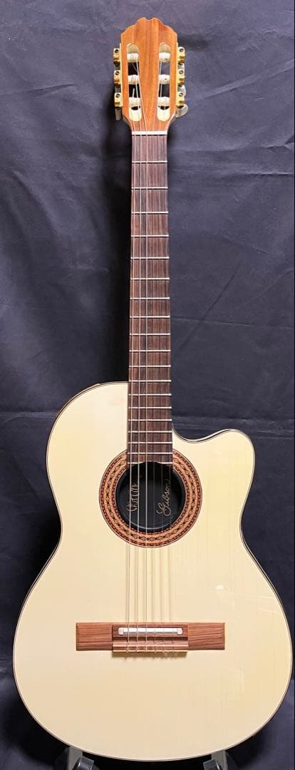 Gibson ギブソン　チェットアトキンス　CE / AW