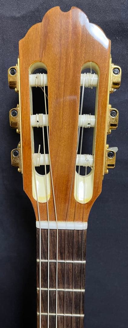 Gibson ギブソン　チェットアトキンス　CE / AW