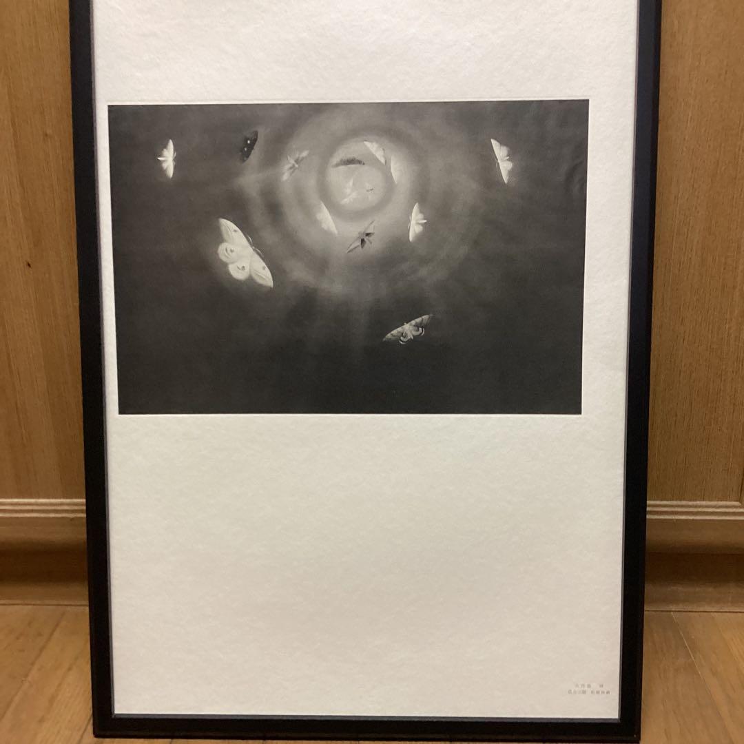 天才画家速水御舟　作品集大作編便利堂監修　画集NO 18 【昆虫二題粧蛾舞戯】