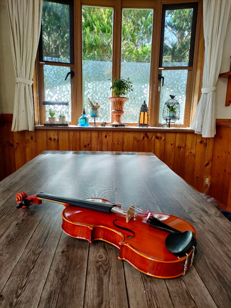 PYGMALIUS ST-03 1993 ARCHET バイオリン　ピグマリウス