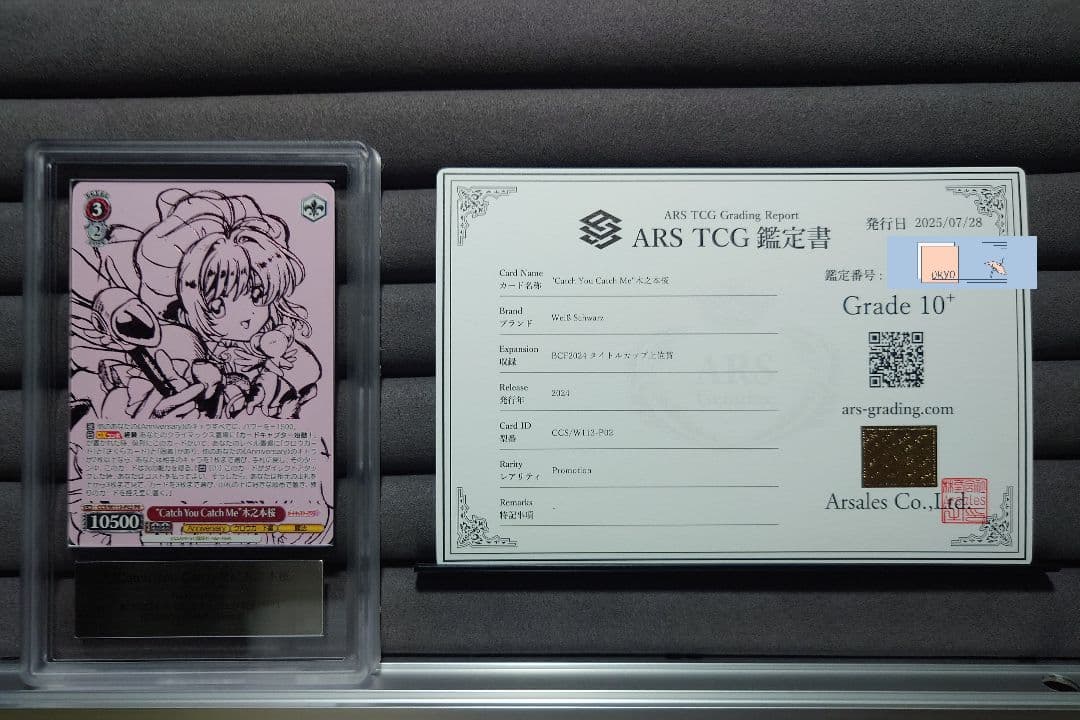 ARS10＋ Catch You Catch Me 木之本桜 プロモ 敢闘賞