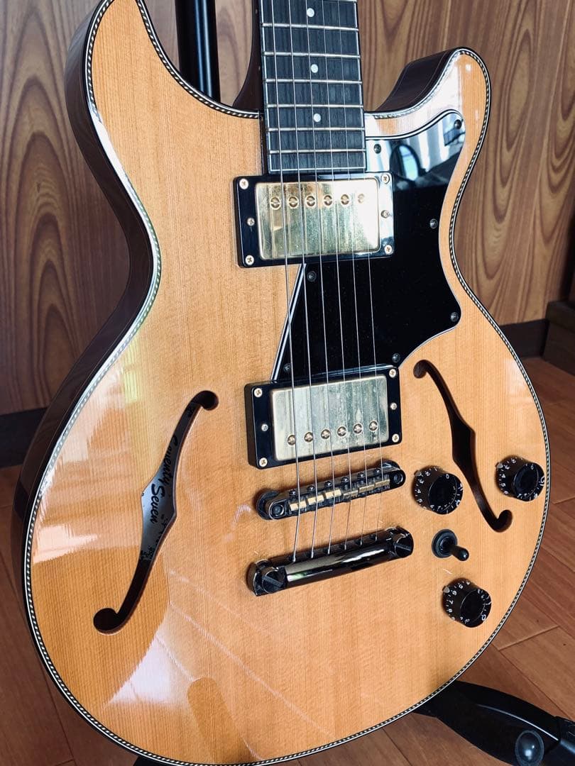 ギター ALBATROSS-JAZZ/H NA