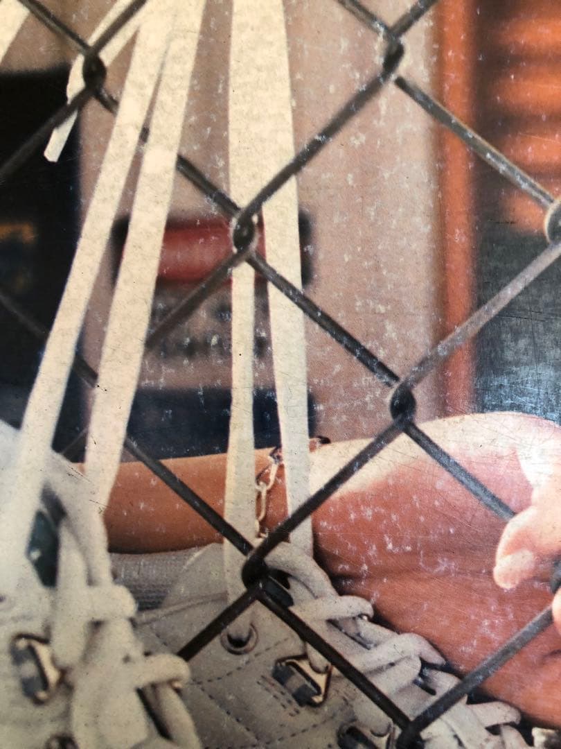 BoA 非売品　レア　パネル　スケッチャーズ skechers ②ボアちゃん近し