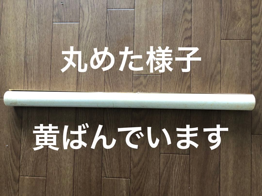 ハワイの美女モデル・アグネス・ラム大判ポスター by SHIN IKEDA ！