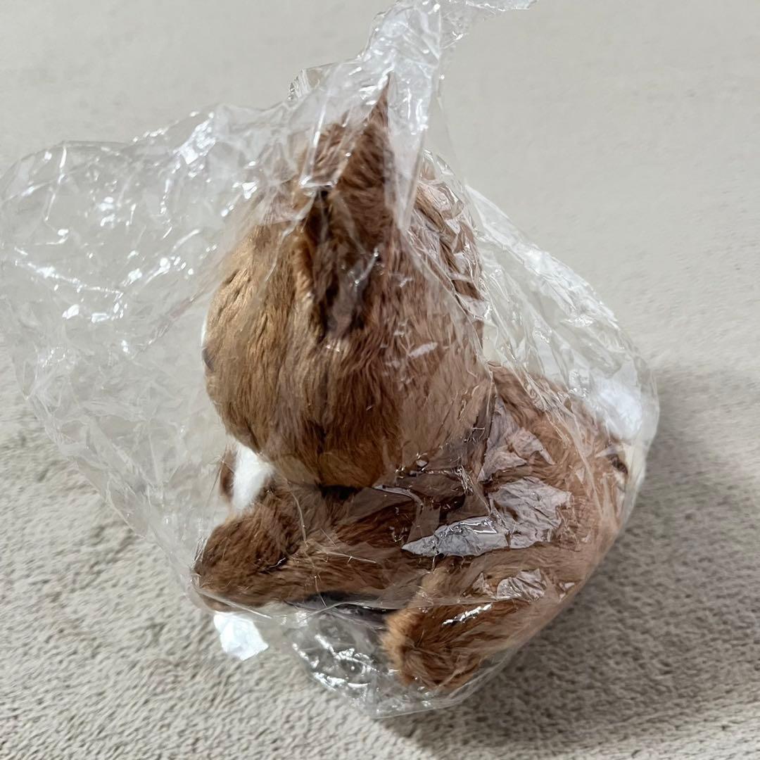 リラックマストア限定 ココアキャットぬいぐるみ