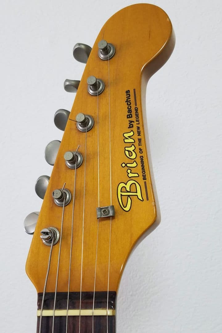 Brian by Bacchus テレキャスターカスタムタイプ エレキギター