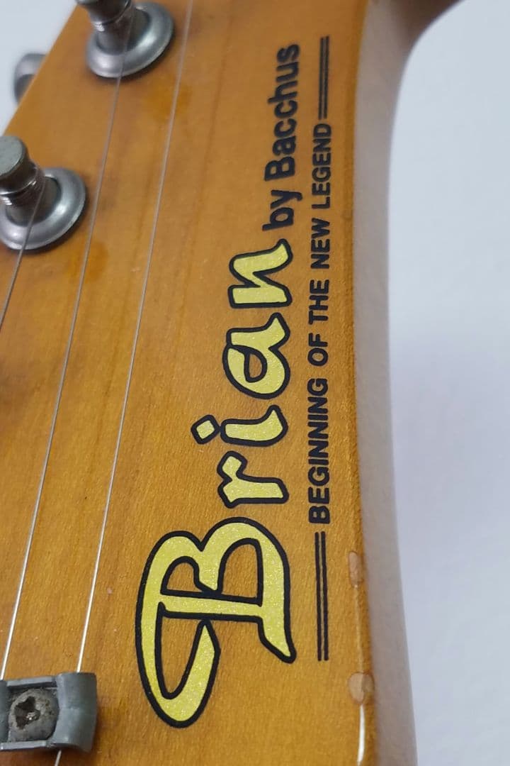 Brian by Bacchus テレキャスターカスタムタイプ エレキギター