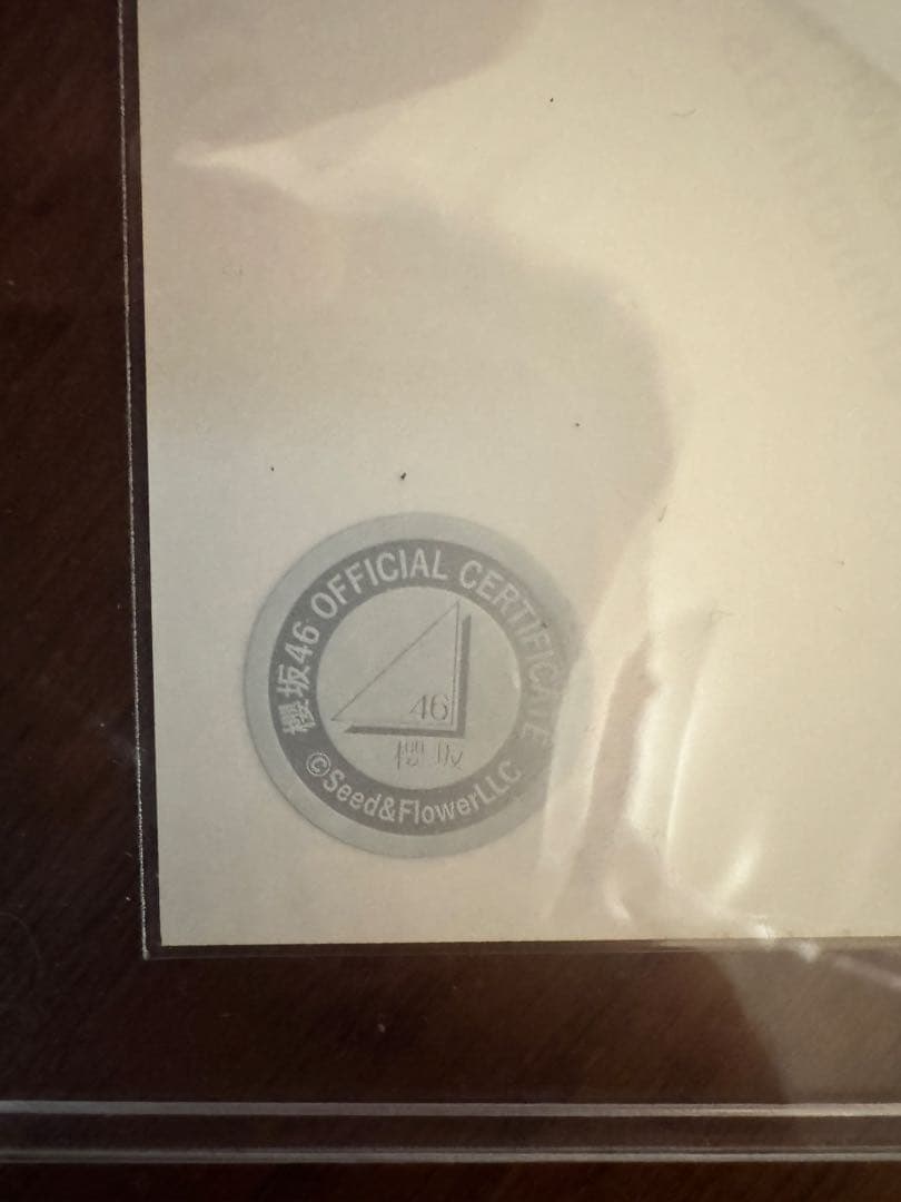 的野美青　サイン付き生写真　サンタ衣装