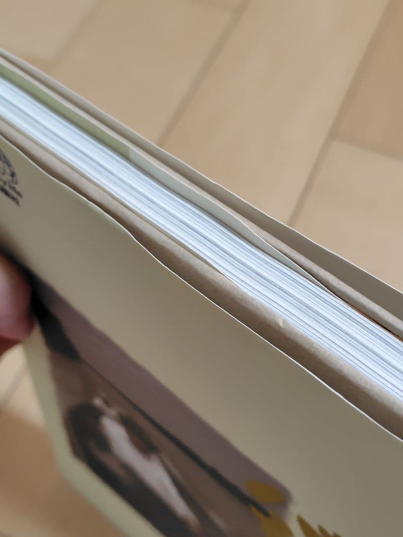 ZEAL 20周年アライくんset（カメ）サイン入り 本 DVD