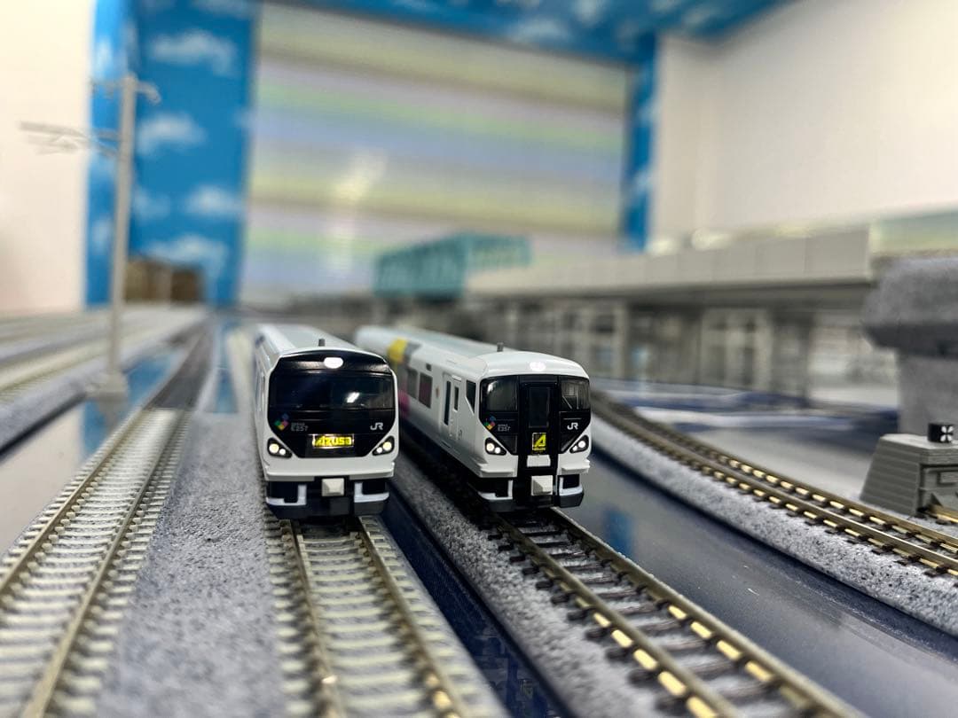 KATO E257系0番代（旧スカート）11両セット