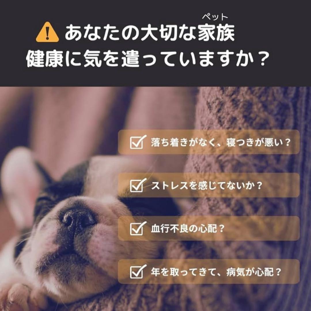 ZAAP Pemily 医療機器搭載 ペット用ネックレス