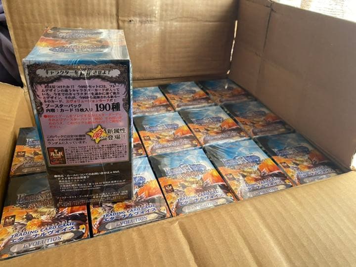 エターナルヴォイス エボリューション 段ボール売り