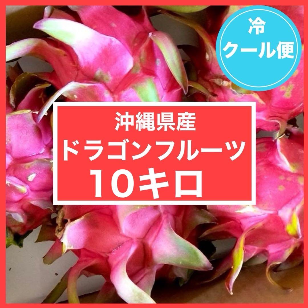 【クール便】沖縄県産 ドラゴンフルーツ　赤玉　10キロ