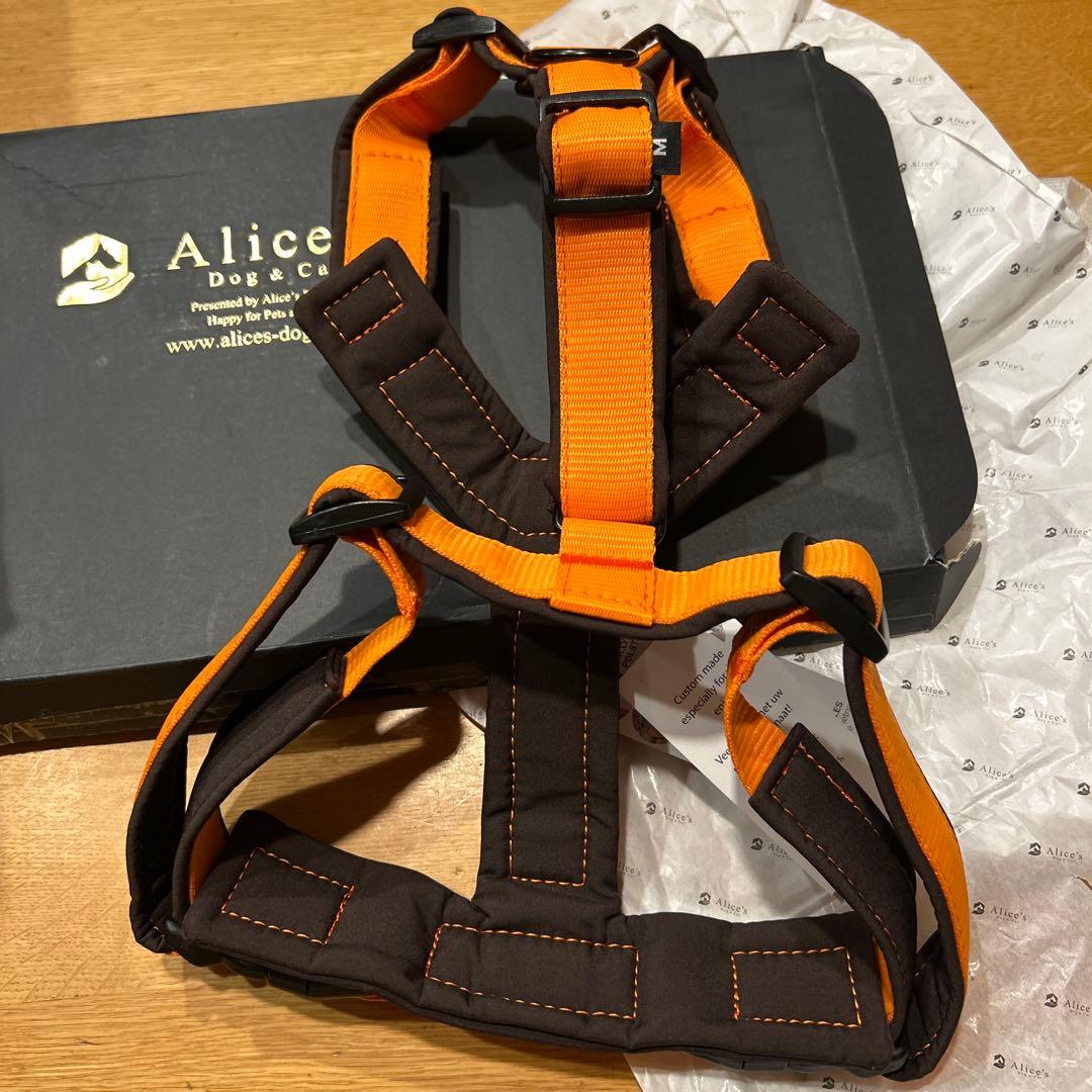 4dox ハーネス Mサイズ ⭐︎オレンジ