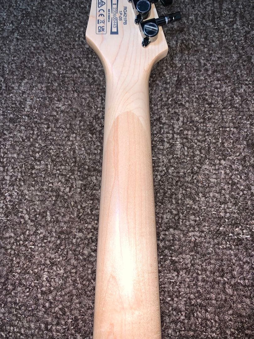 ギター Ibanez RG421PB-SBF