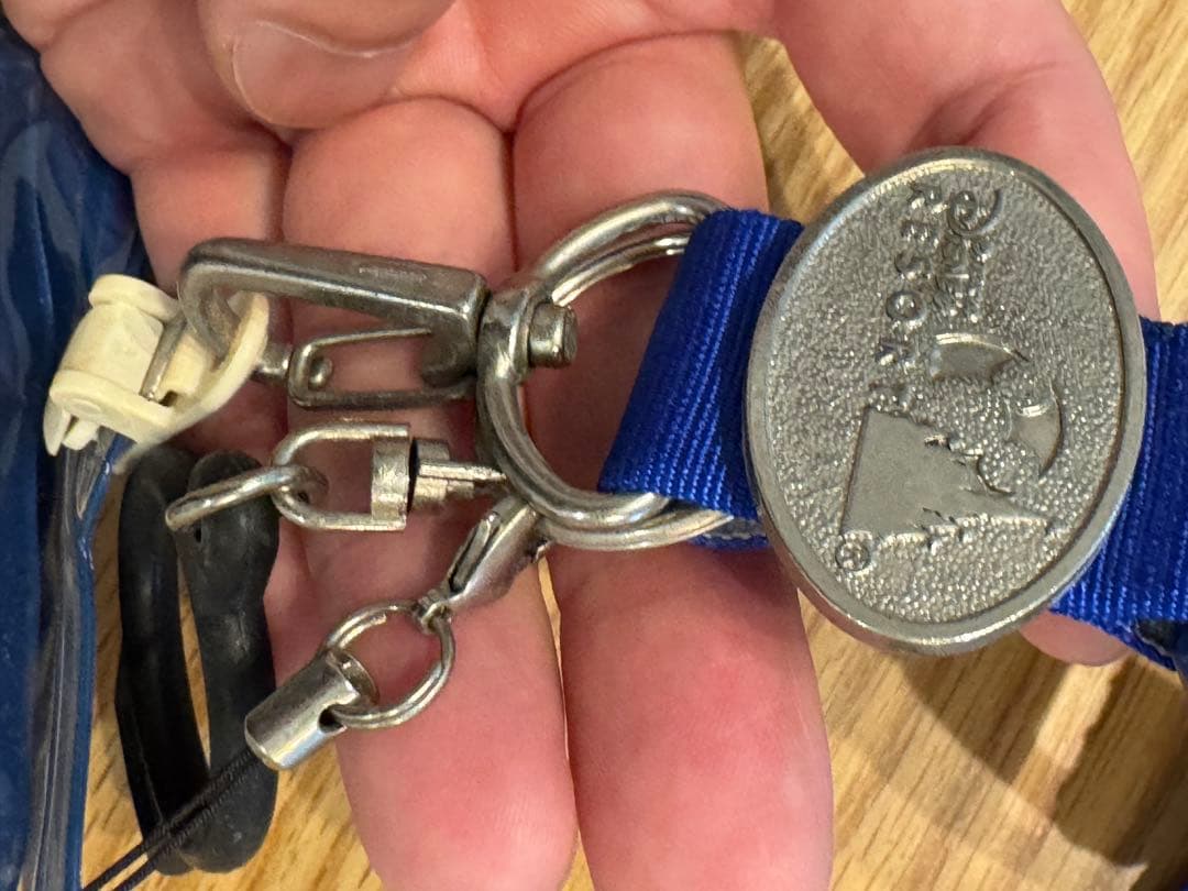 【激レア】ディズニーリゾート イクスピアリ開業 報道関係者専用　ネックストラップ