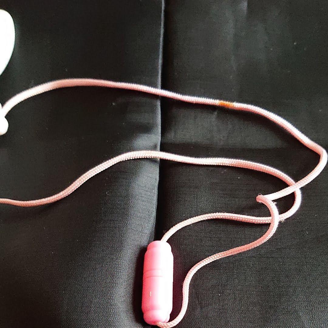 ピュアリんハナちゃんコンパクト ユタカ