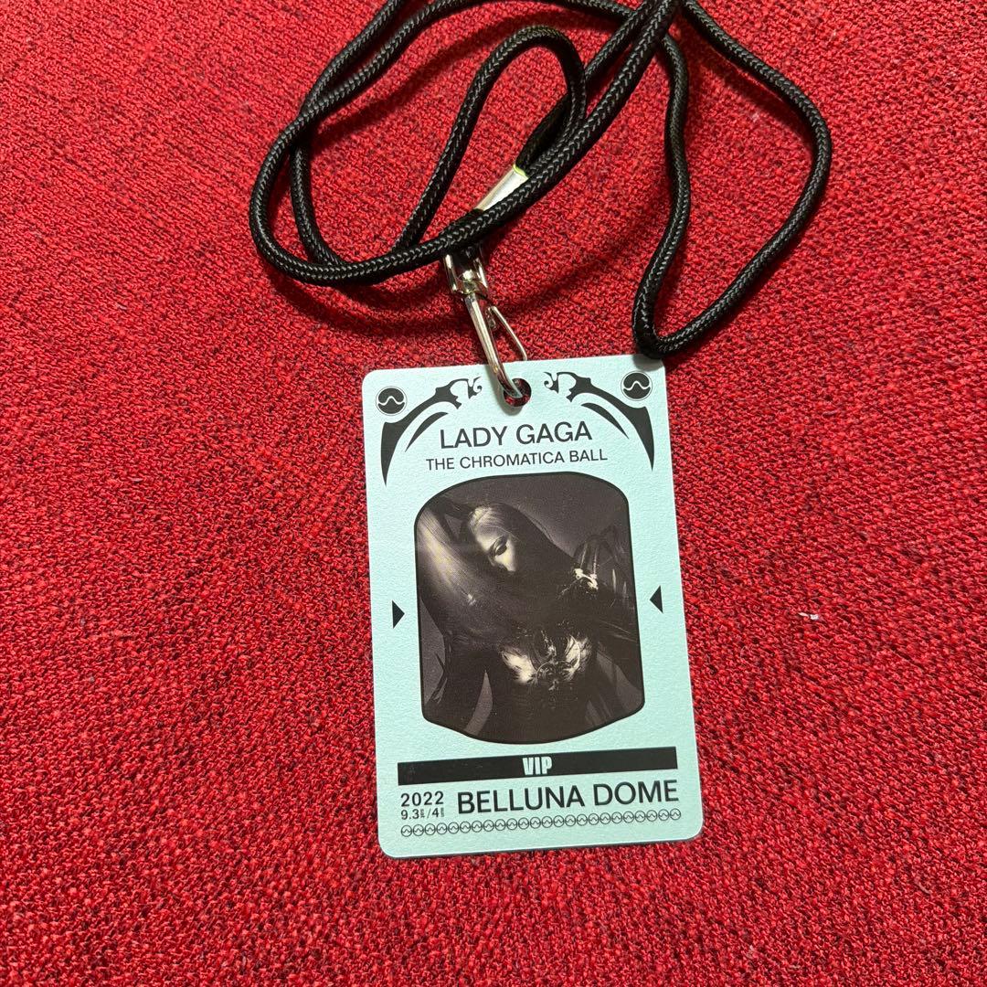 LADYGAGAVIPゴールドグッズ7点セット