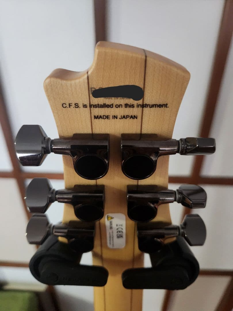 フジゲン Fujigen Expert Elan