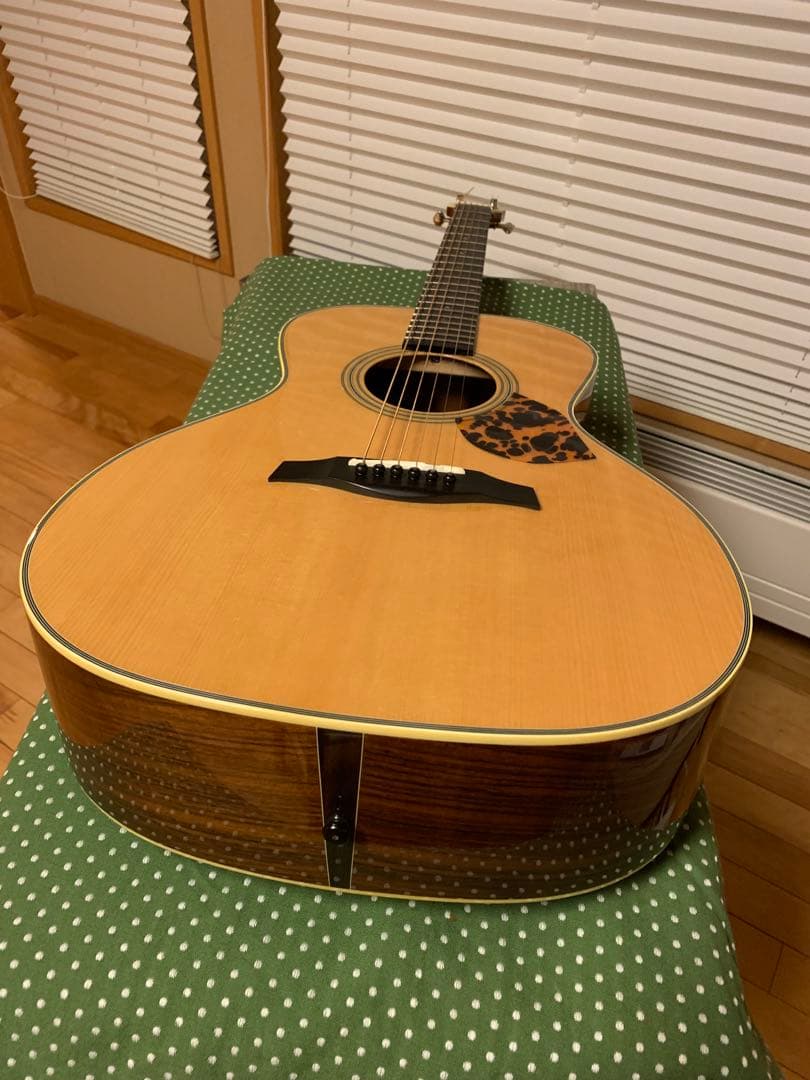 Gary E. Levinson LS-43 アコースティックギター