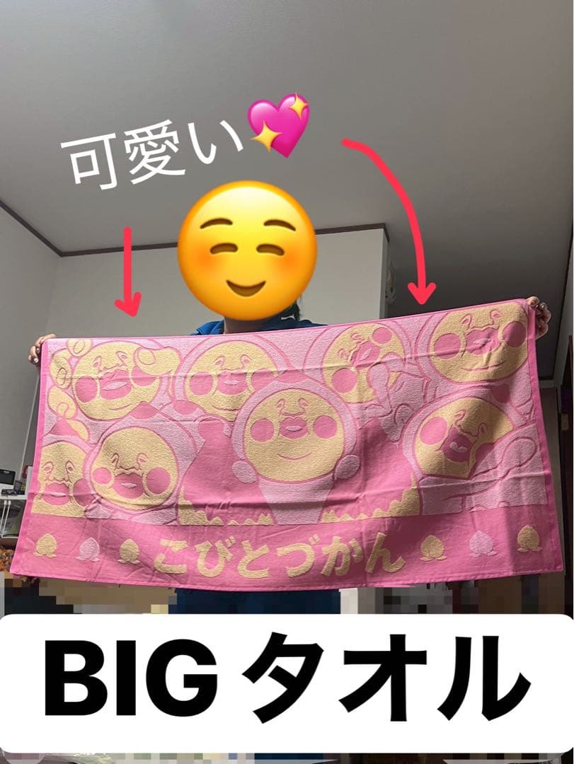 最終値下！こびとづかん一番くじ37点コンプ⭐︎貰った人は間違いなく嬉しい♡