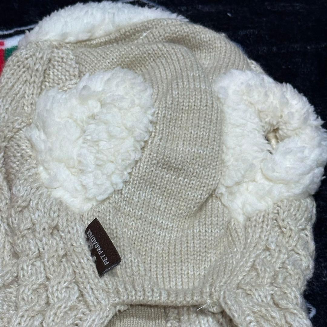 ペットパラダイス　くま３枚セット 　 　　サイズ3S