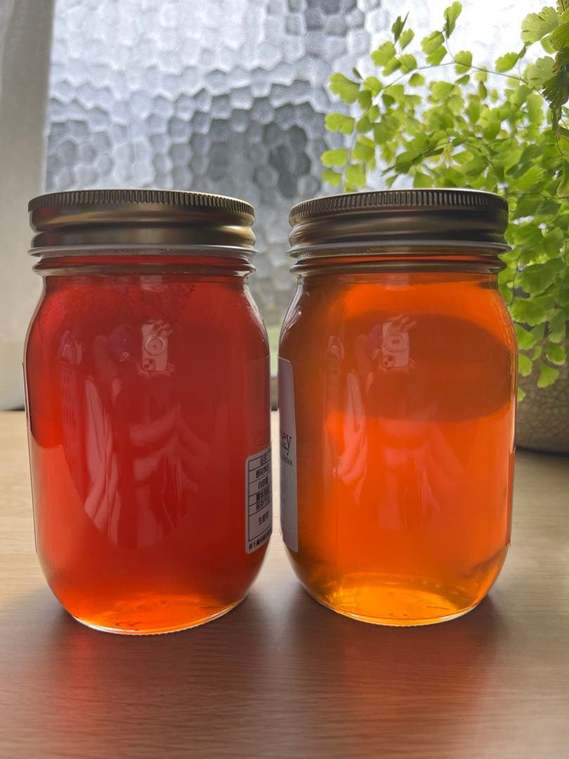 【徳島県産】日本蜜蜂のはちみつ味くらべSET （600g×2本）