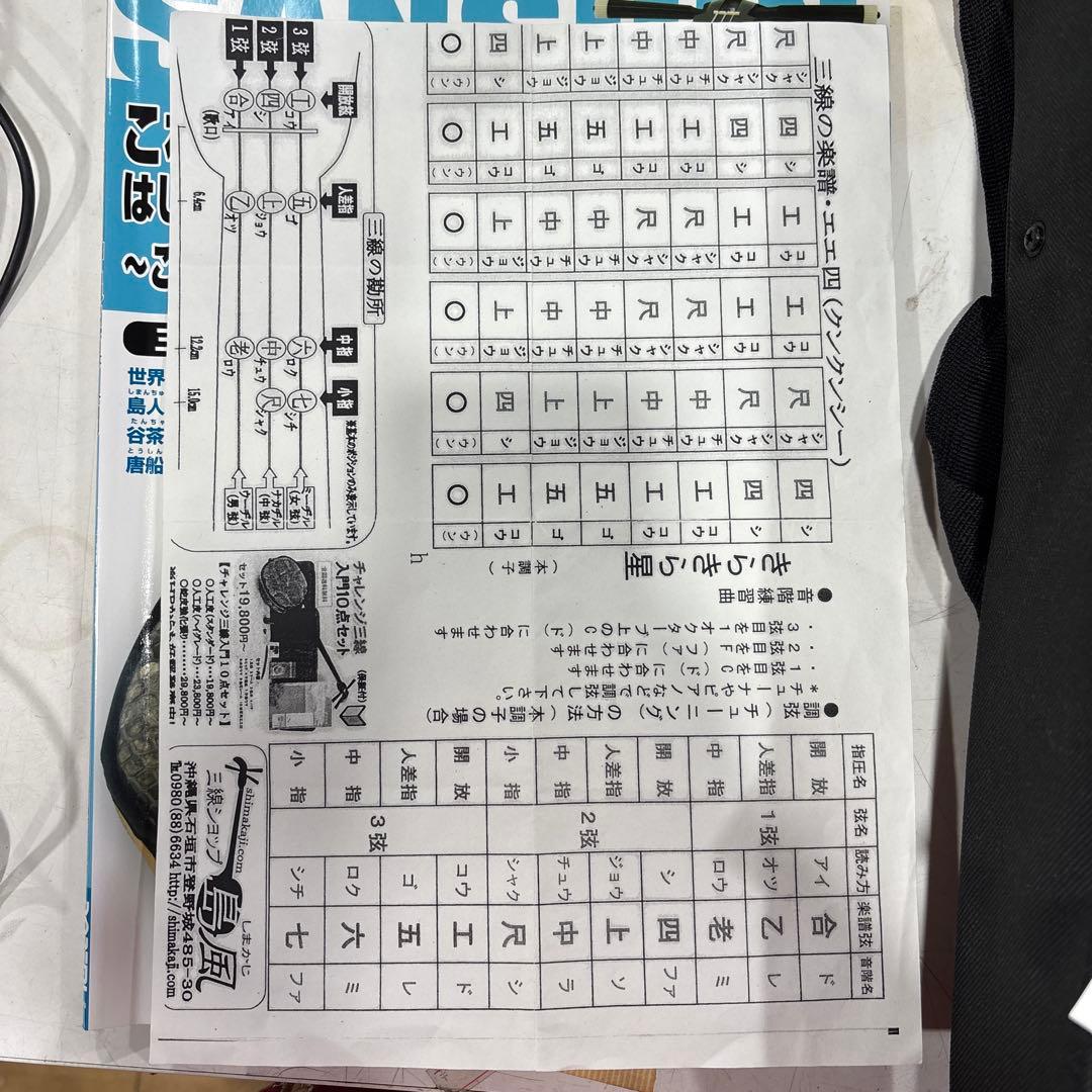 T108 美品！ 三味線 入門セット