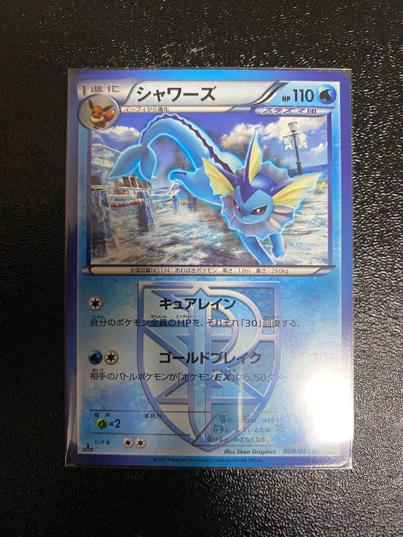 【超稀少】ポケモンカード ブイズ 1ed プラズマ団 【極美品】