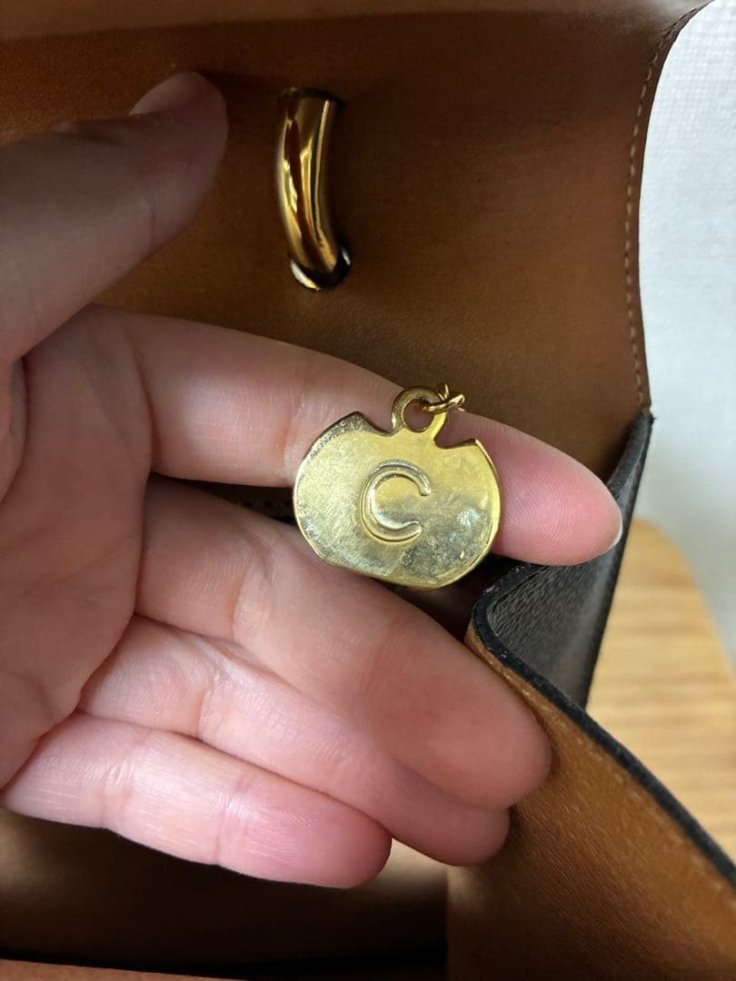 Grinさま専用【セリーヌ】【ご当地キティちゃん】 シャーペン&ストラップ