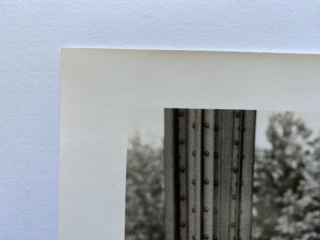 エレン・フォン・アンワース「GANG STER」オリジナル・プリント額装