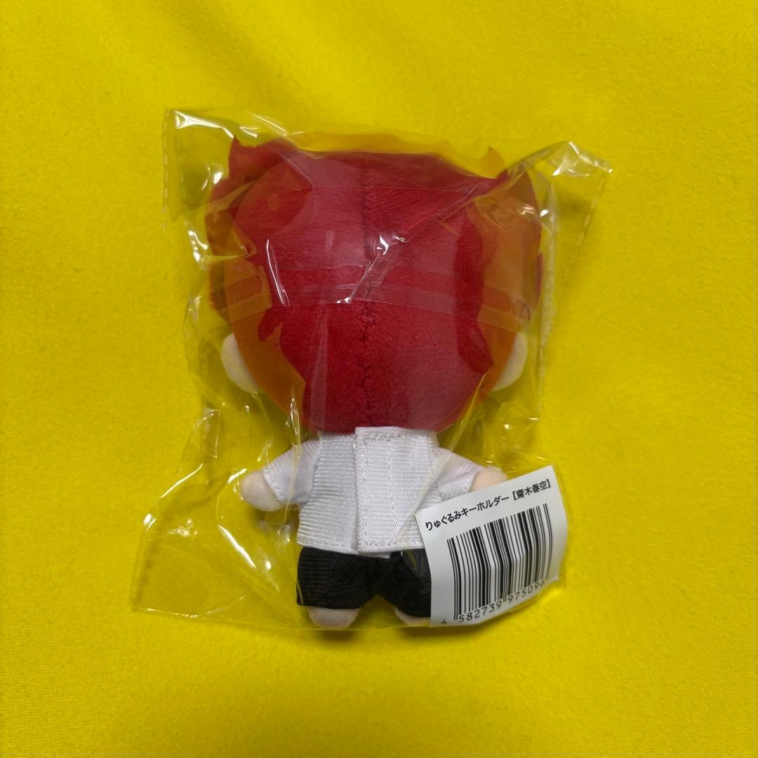 龍宮城 ぬいぐるみ りゅぐるみ 齋木春空