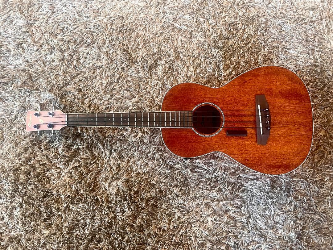 Ibanez PNB14E-OPN アコースティックベース / 新品BN弦交換済