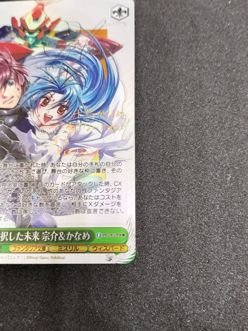 ヴァイス　SP　選択した未来 宗介＆かなめ　富士見ファンタジア文庫　フルメタ