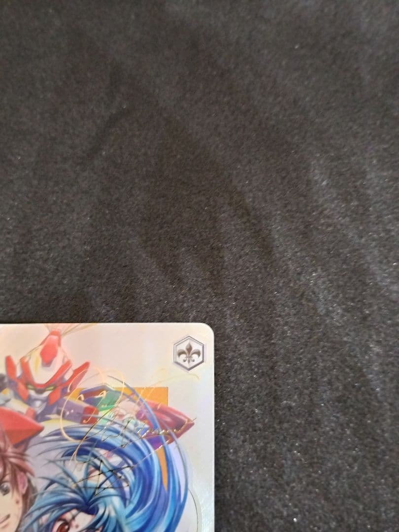 ヴァイス　SP　選択した未来 宗介＆かなめ　富士見ファンタジア文庫　フルメタ