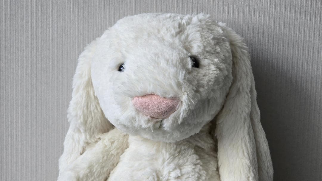  ジェリーキャット うさぎ クリーム XLサイズ