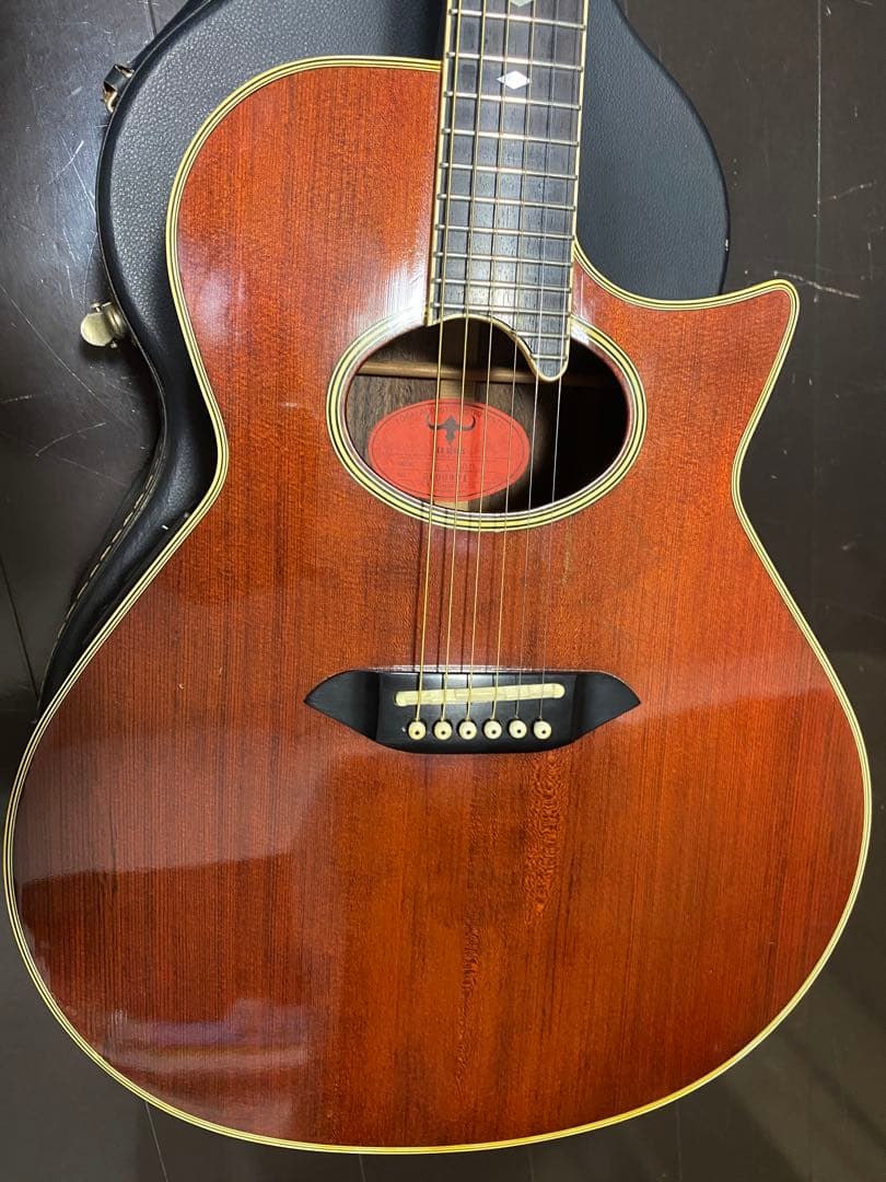 アコースティックギター　tokai