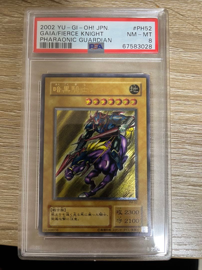 青眼の白龍　真紅眼の黒竜　暗黒騎士ガイア　レリーフ　PSA セット