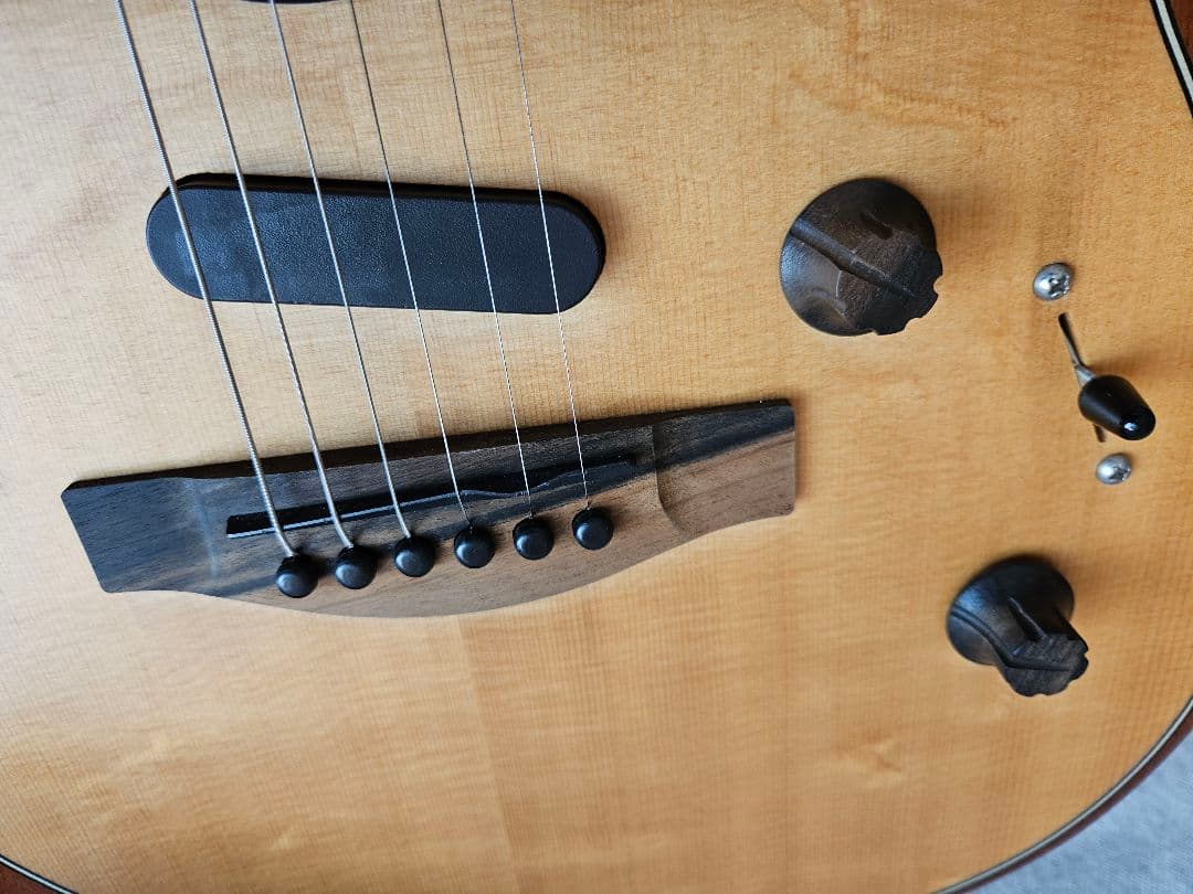 ギター Fender USA Acoustasonic Stratocaster