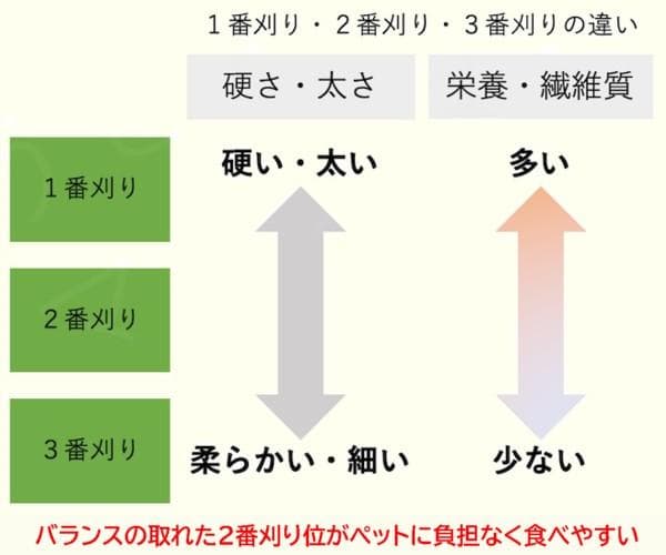 【3/16まで】 カナダ産 チモシー 50kg スーパープレミアム １番刈
