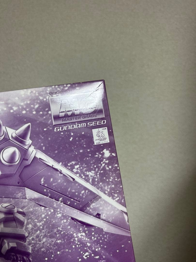 MG 1/100 ブレイズザクファントム（レイ・ザ・バレル専用機）