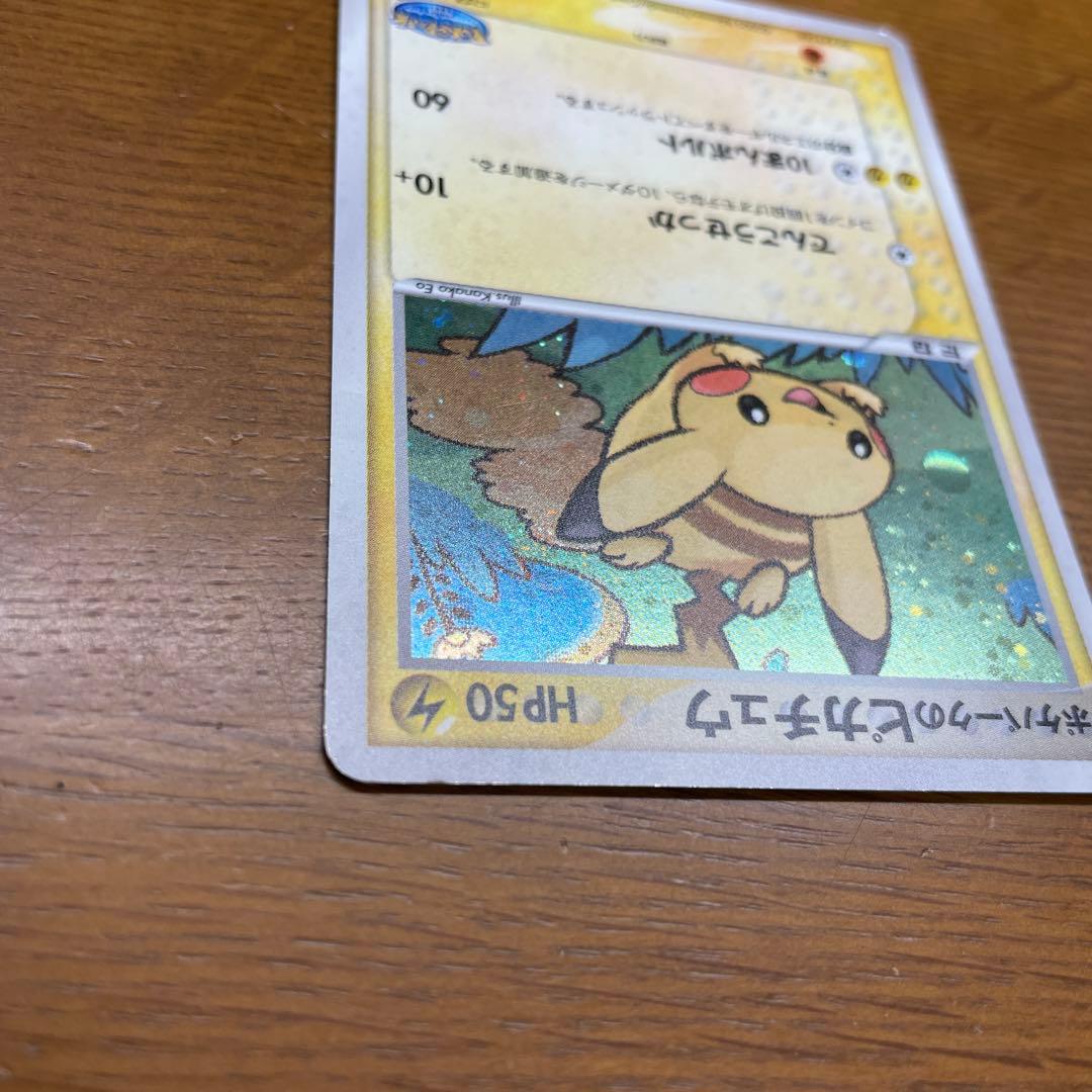 ポケパークのピカチュウ