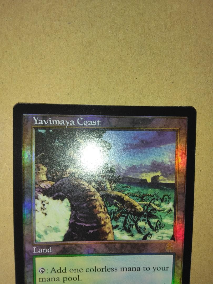 ヤヴィマヤの沿岸 Yavimaya Coast 英語 Foil APC MTG