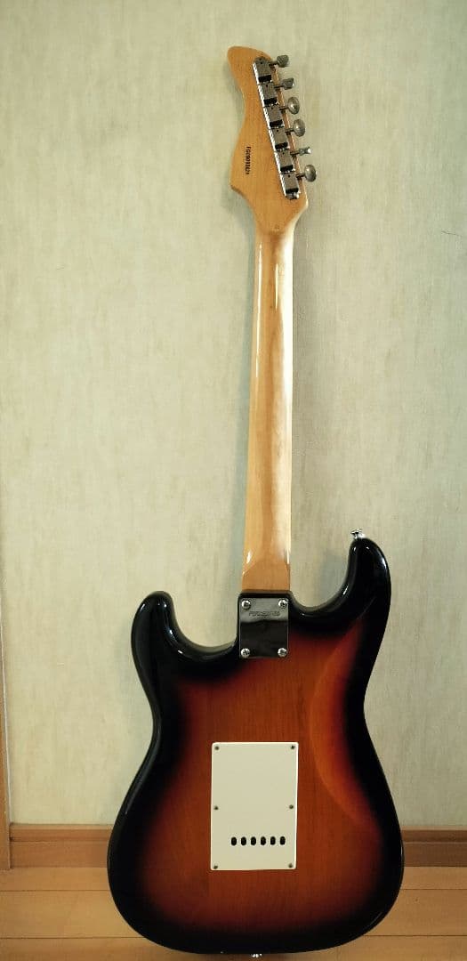 ソフトカバー付きエレキギターFERNANDES