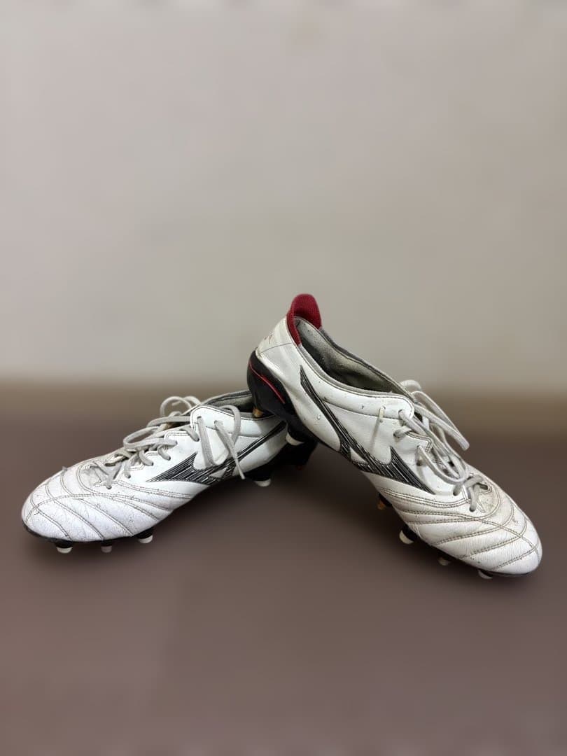 Mizuno モレネオ3 取り替え式 27cm