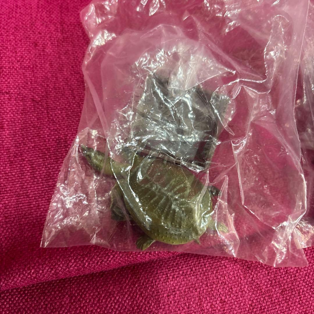 ネイチャーテクニカラー　日本のカメ　初版　スッポン　クサガメ　未開封！