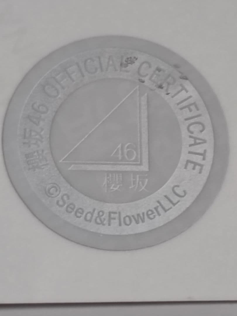 櫻坂46 藤吉夏鈴　生写真　直筆サイン　2024年　クリスマスサンタ衣装　公式