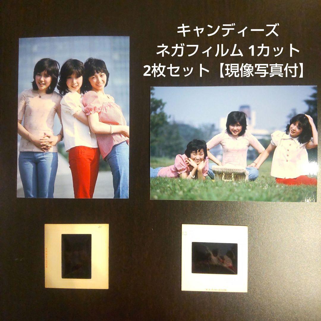 す*ー様 希少！キャンディーズ ネガフィルム