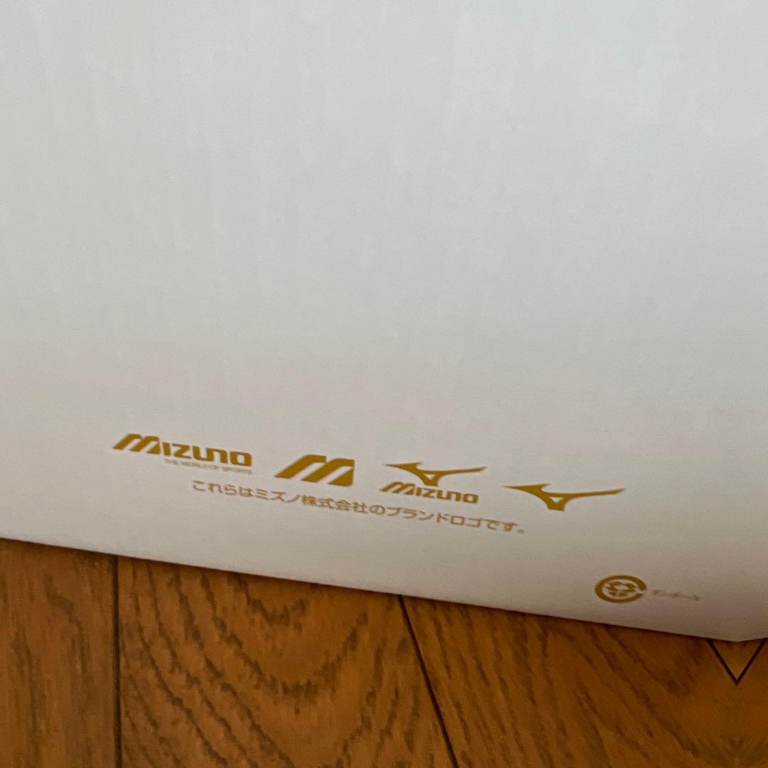 【新品未使用タグ付き】【激レア】調子くんグラブbyプロスピfeatマエケン